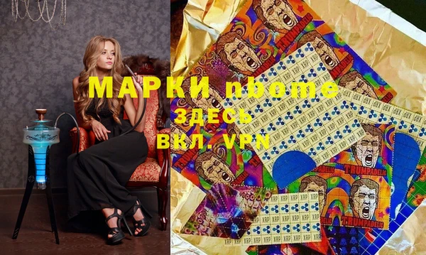 стаф Краснослободск