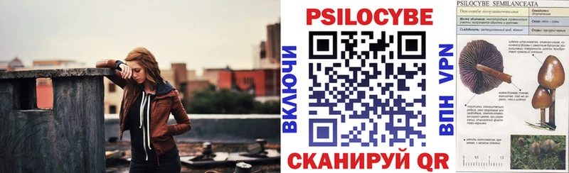 Псилоцибиновые грибы GOLDEN TEACHER  как найти наркотики  Темрюк 
