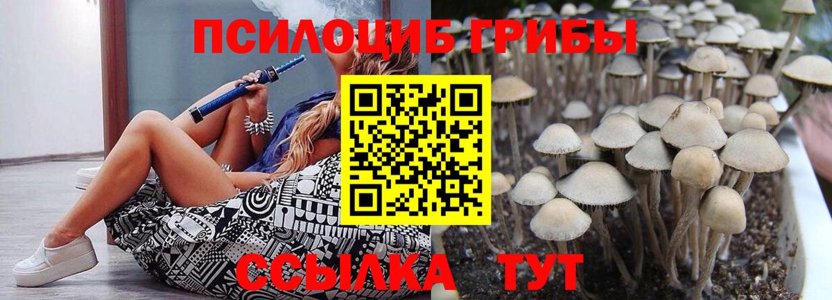 Псилоцибиновые грибы MAGIC MUSHROOMS  Галлюциногенные грибы Cubensis  Темрюк  Вход с VPN 